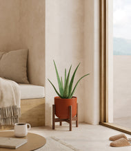 Load image into Gallery viewer, Earth Red stand:walnut
