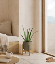 Load image into Gallery viewer, Sage Green stand:bamboo
