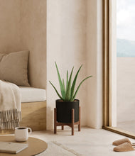 Load image into Gallery viewer, Black stand:walnut
