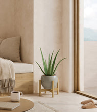 Load image into Gallery viewer, Deep Ocean stand:bamboo
