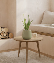 Load image into Gallery viewer, Turquoise
