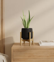 Load image into Gallery viewer, Black stand:bamboo
