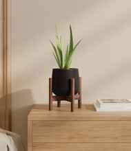 Load image into Gallery viewer, Black stand:walnut
