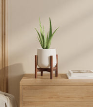 Load image into Gallery viewer, White stand:walnut
