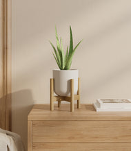 Load image into Gallery viewer, Natural Bamboo stand:bamboo
