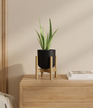 Load image into Gallery viewer, Stone Black stand:bamboo
