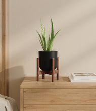 Load image into Gallery viewer, Stone Black stand:walnut
