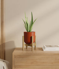 Load image into Gallery viewer, Earth Red stand:bamboo
