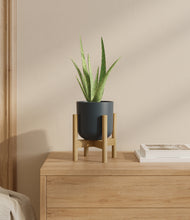 Load image into Gallery viewer, Iron Gray stand:bamboo
