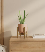 Load image into Gallery viewer, Sandy Pink stand:bamboo
