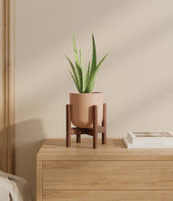 Load image into Gallery viewer, Sandy Pink stand:walnut
