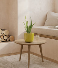 Load image into Gallery viewer, Key Lime Yellow
