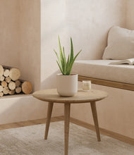 Load image into Gallery viewer, Natural Bamboo
