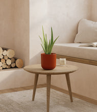 Load image into Gallery viewer, Earth Red
