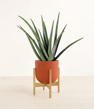 Load image into Gallery viewer, Earth Red stand:bamboo
