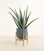 Load image into Gallery viewer, Iron Gray stand:bamboo

