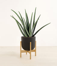 Load image into Gallery viewer, Stone Black stand:bamboo
