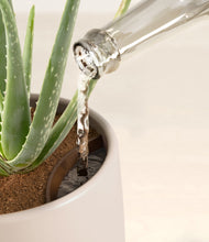 Load image into Gallery viewer, Eternal Gray stand:all
