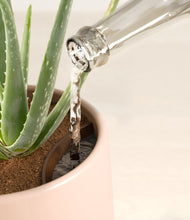 Load image into Gallery viewer, Gentle Pink stand:all
