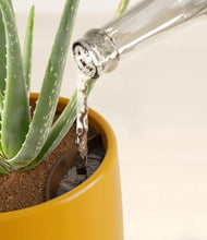 Load image into Gallery viewer, Mustard stand:all
