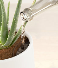 Load image into Gallery viewer, White stand:all
