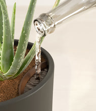 Load image into Gallery viewer, Dark Olive stand:all
