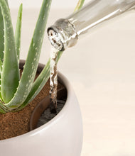 Load image into Gallery viewer, Winter Clouds stand:all
