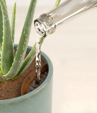 Load image into Gallery viewer, Reactive Aqua stand:all
