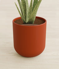 Load image into Gallery viewer, Earth Red stand:all
