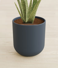 Load image into Gallery viewer, Iron Gray stand:all
