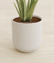 Load image into Gallery viewer, Natural Bamboo stand:all
