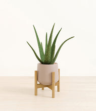 Load image into Gallery viewer, Eternal Gray stand:bamboo
