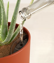 Load image into Gallery viewer, Earth Red stand:all
