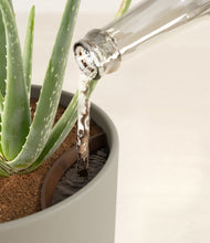 Load image into Gallery viewer, Sage Green stand:all
