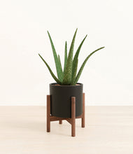 Load image into Gallery viewer, Black stand:walnut
