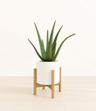 Load image into Gallery viewer, White stand:bamboo
