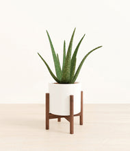 Load image into Gallery viewer, White stand:walnut
