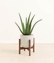 Load image into Gallery viewer, Natural Bamboo stand:walnut
