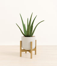 Load image into Gallery viewer, Natural Bamboo stand:bamboo
