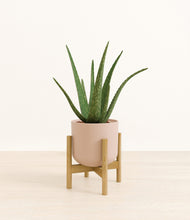 Load image into Gallery viewer, Sandy Pink stand:bamboo
