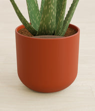 Load image into Gallery viewer, Earth Red stand:all
