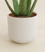 Load image into Gallery viewer, Natural Bamboo stand:all
