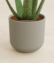 Load image into Gallery viewer, Sage Green stand:all
