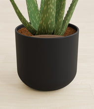 Load image into Gallery viewer, Stone Black stand:all
