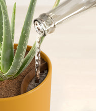 Load image into Gallery viewer, Sunset Orange stand:all
