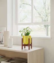 Load image into Gallery viewer, Key Lime Yellow stand:walnut
