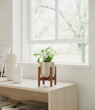 Load image into Gallery viewer, Sage Green stand:walnut
