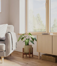 Load image into Gallery viewer, Olive stand:walnut
