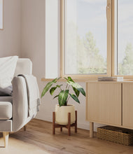 Load image into Gallery viewer, Almond Green stand:walnut

