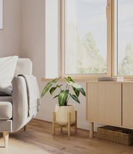 Load image into Gallery viewer, Almond Green stand:bamboo
